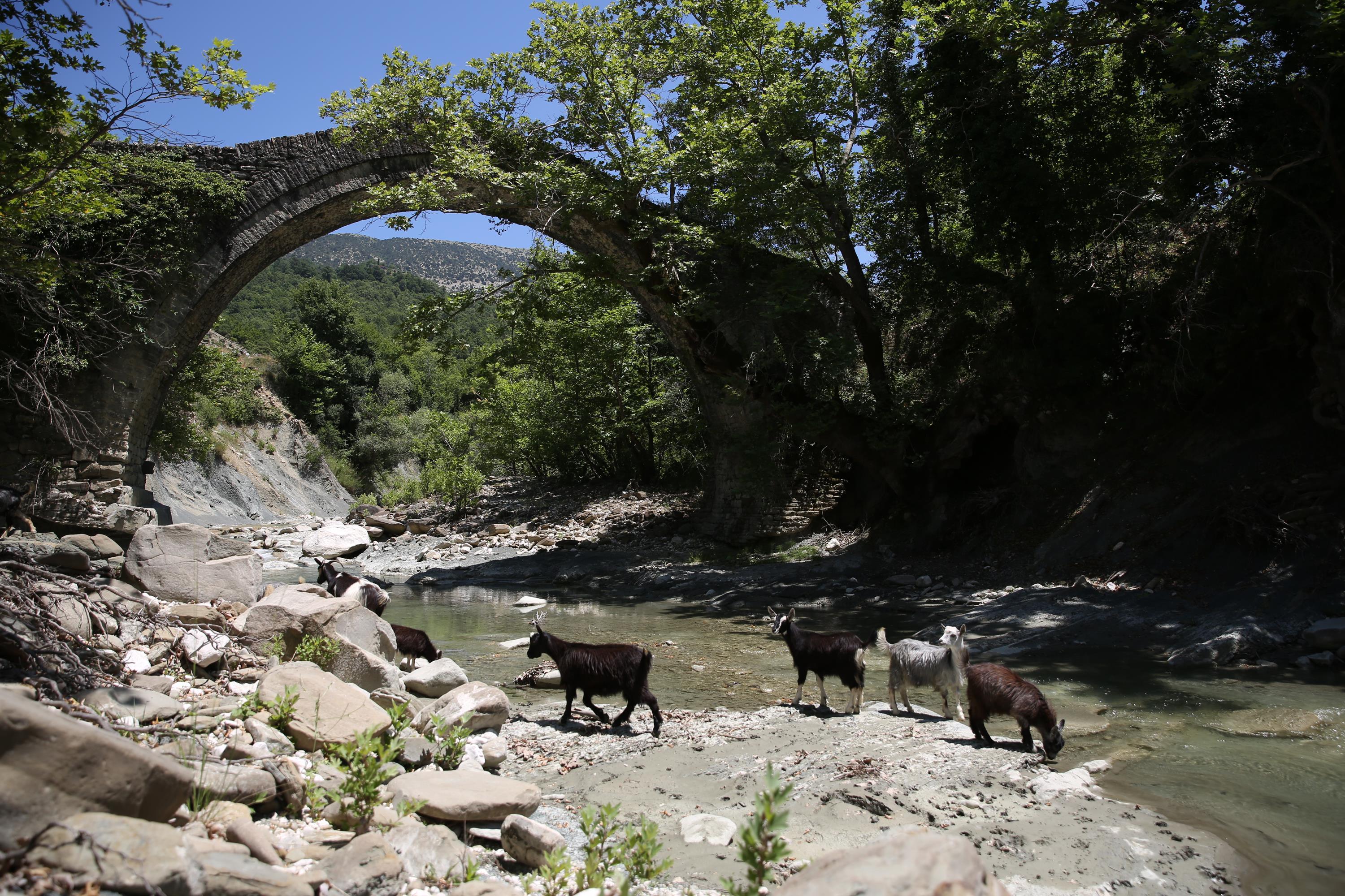 Following Zagoria Pathways - horseXperiences™ GO EQUESTRIAN