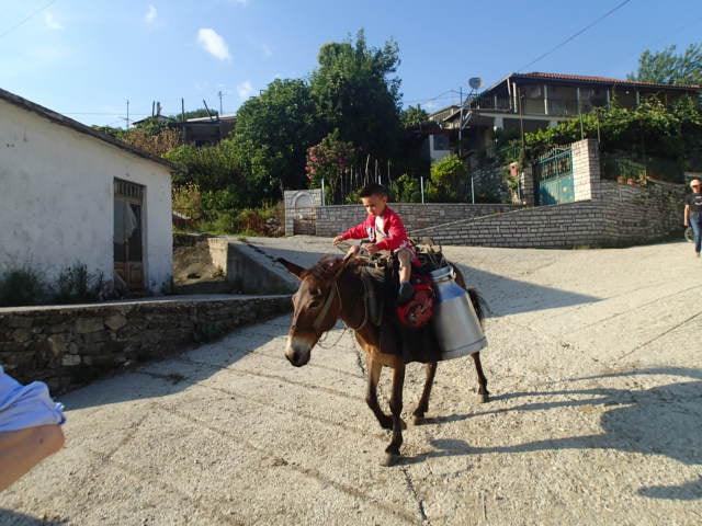 Following Zagoria Pathways - horseXperiences™ GO EQUESTRIAN