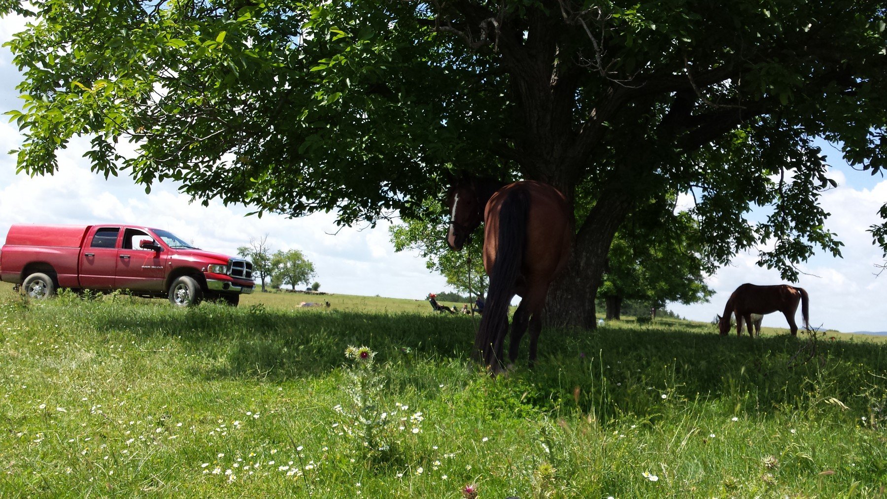 The Old Bulgarian Capitals - horseXperiences™ GO EQUESTRIAN