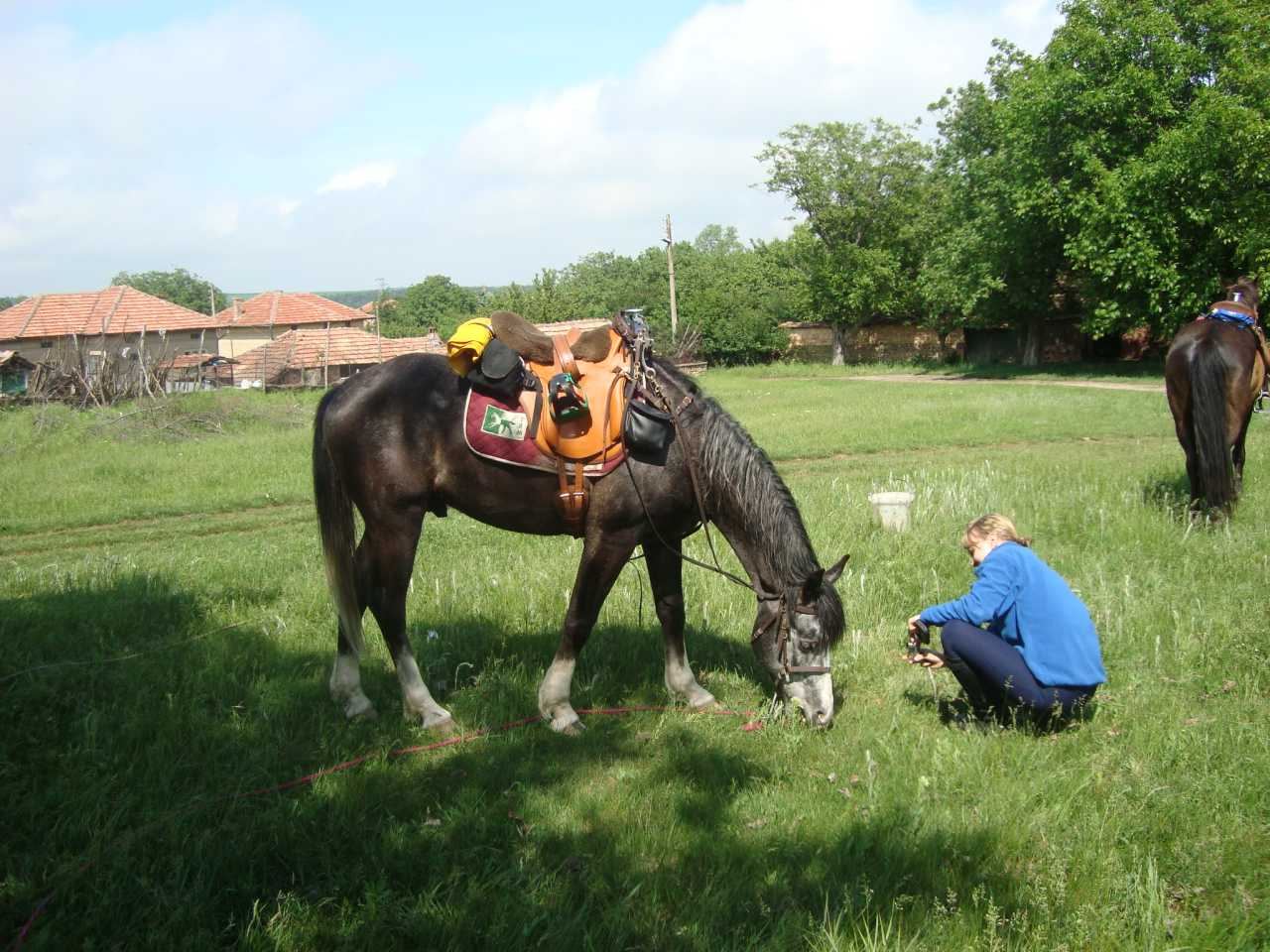 The Old Bulgarian Capitals - horseXperiences™ GO EQUESTRIAN