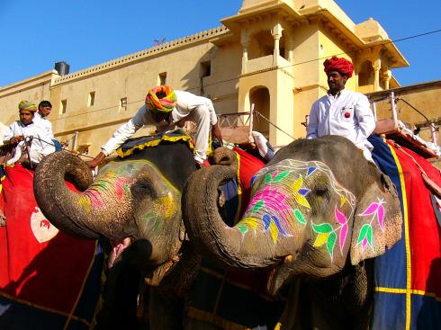 The Great Indian Desert - horseXperiences™ GO EQUESTRIAN