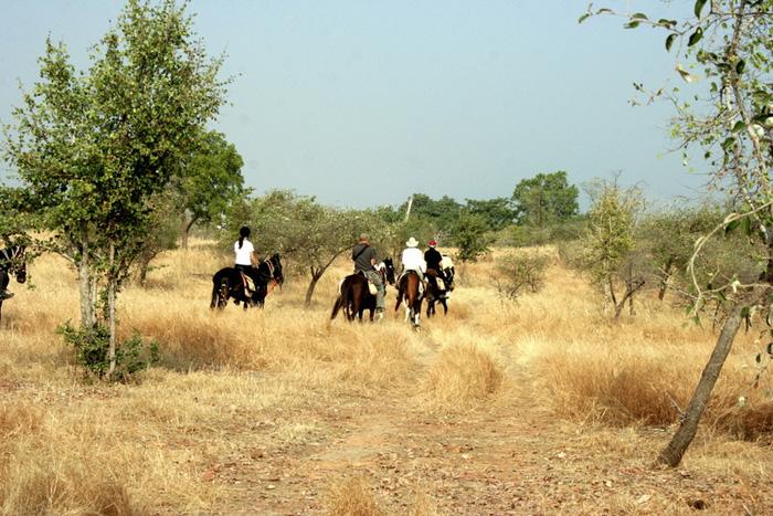 The Great Indian Desert - horseXperiences™ GO EQUESTRIAN