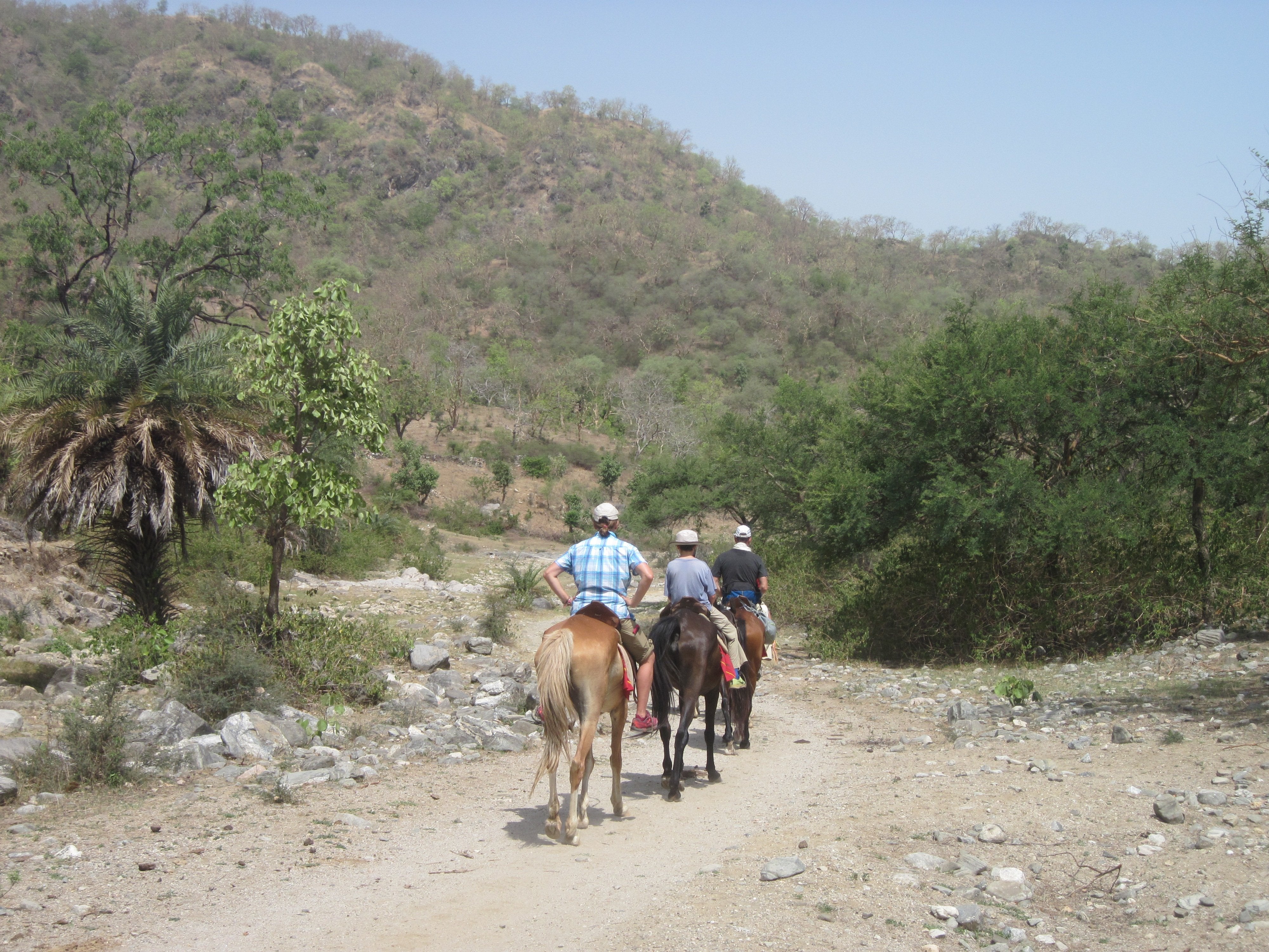 The Great Indian Desert - horseXperiences™ GO EQUESTRIAN