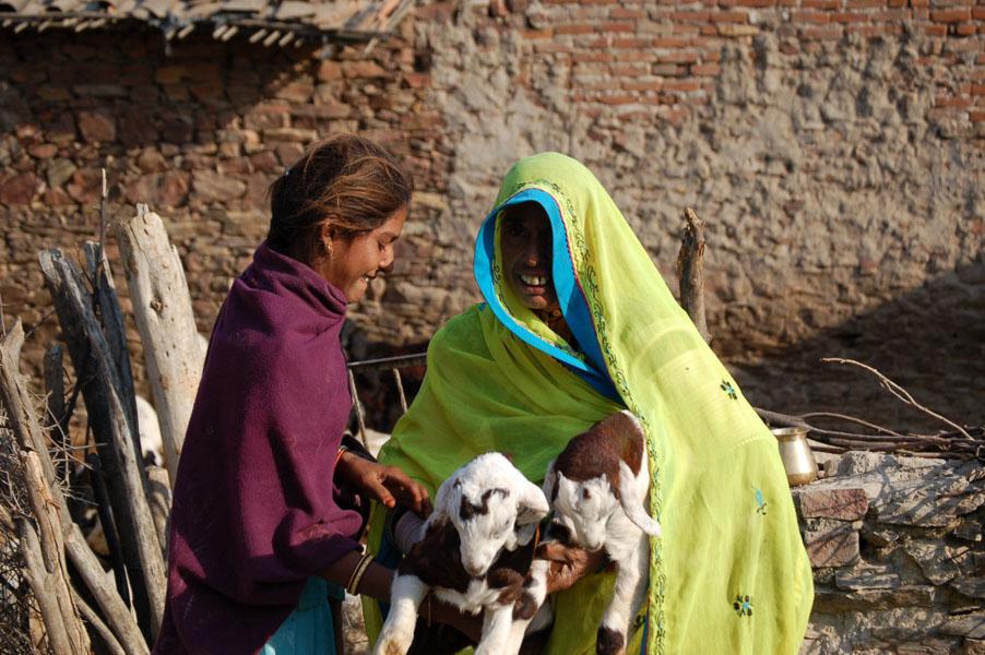 The Great Indian Desert - horseXperiences™ GO EQUESTRIAN