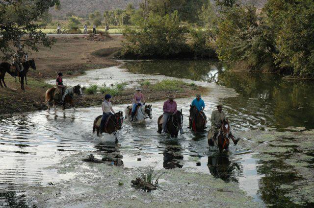 Regal Horse Riding with Taj Mahal - horseXperiences™ GO EQUESTRIAN