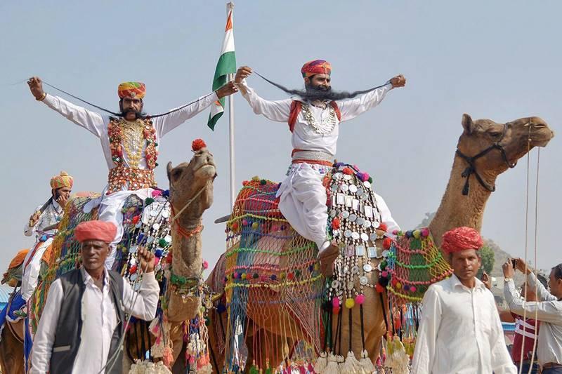 Pushkar Fair Tale - horseXperiences™ GO EQUESTRIAN