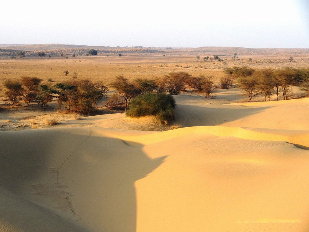 The Great Indian Desert - horseXperiences™ GO EQUESTRIAN