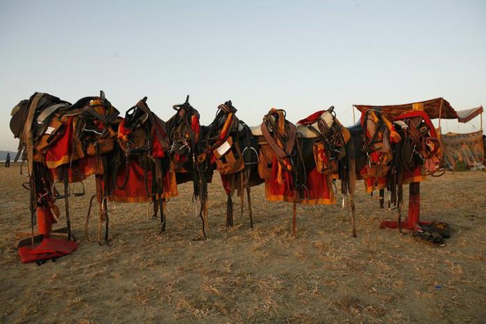 Pushkar Fair Tale - horseXperiences™ GO EQUESTRIAN