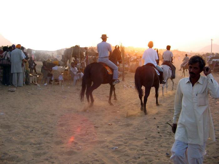 Pushkar Fair Tale - horseXperiences™ GO EQUESTRIAN
