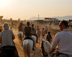 Pushkar Fair Tale - horseXperiences™ GO EQUESTRIAN