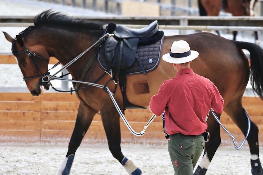 Italian Splendour - horseXperiences™ GO EQUESTRIAN