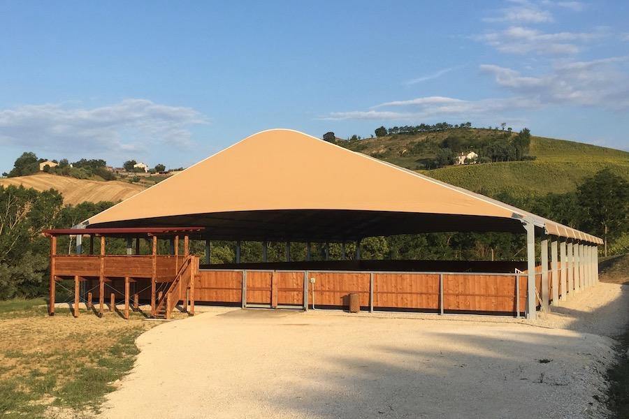 Italian Splendour - horseXperiences™ GO EQUESTRIAN