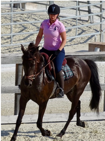 Italian Splendour - horseXperiences™ GO EQUESTRIAN