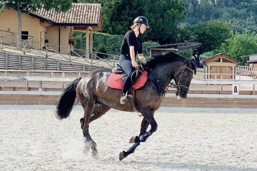 Italian Splendour - horseXperiences™ GO EQUESTRIAN