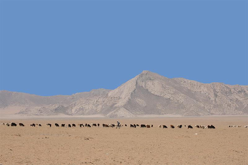 Gobi Steppe Ride - horseXperiences™ GO EQUESTRIAN