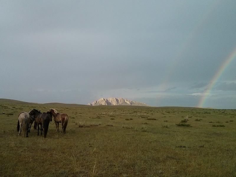 Gobi Steppe Ride - horseXperiences™ GO EQUESTRIAN