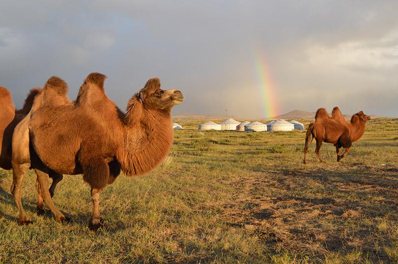 Steppe Nomads Ride - horseXperiences™ GO EQUESTRIAN