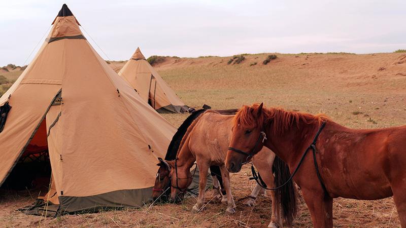 Gobi Steppe Ride - horseXperiences™ GO EQUESTRIAN