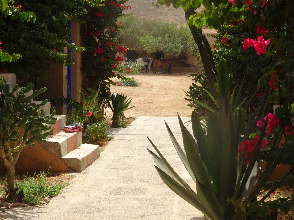 Untouched Morocco - horseXperiences™ GO EQUESTRIAN