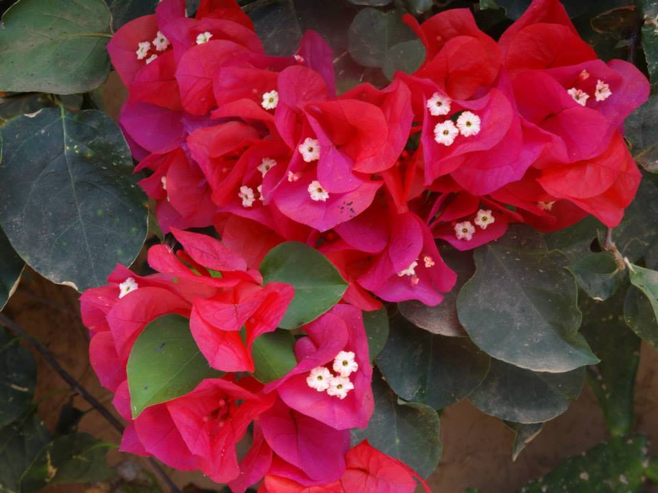 Untouched Morocco - horseXperiences™ GO EQUESTRIAN