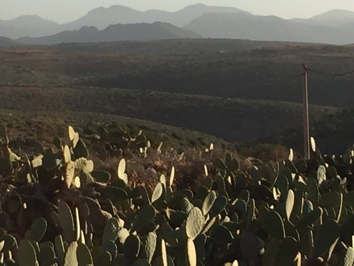 Untouched Morocco - horseXperiences™ GO EQUESTRIAN