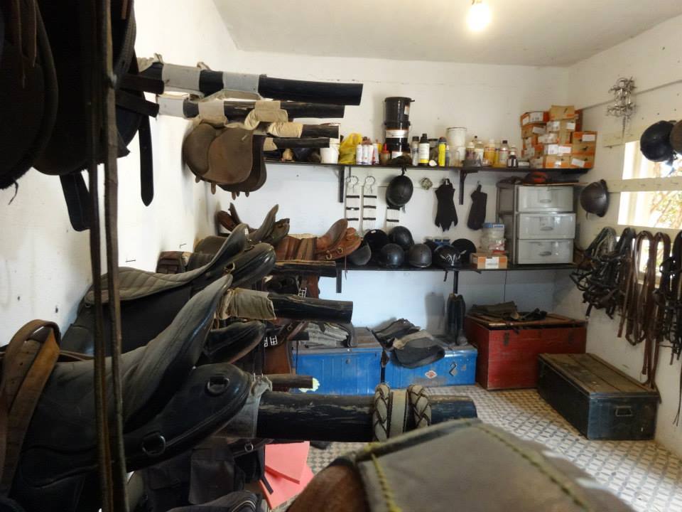 Untouched Morocco - horseXperiences™ GO EQUESTRIAN