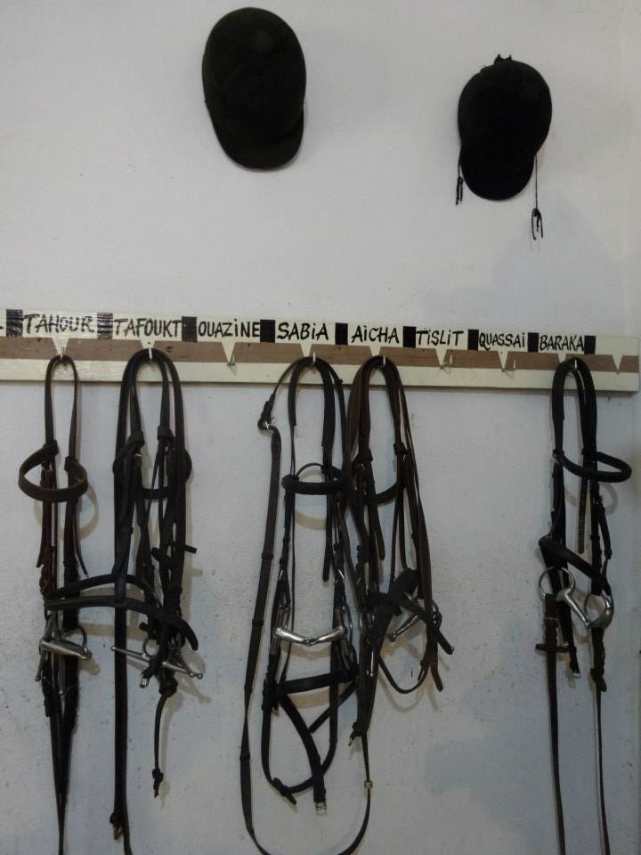 Untouched Morocco - horseXperiences™ GO EQUESTRIAN