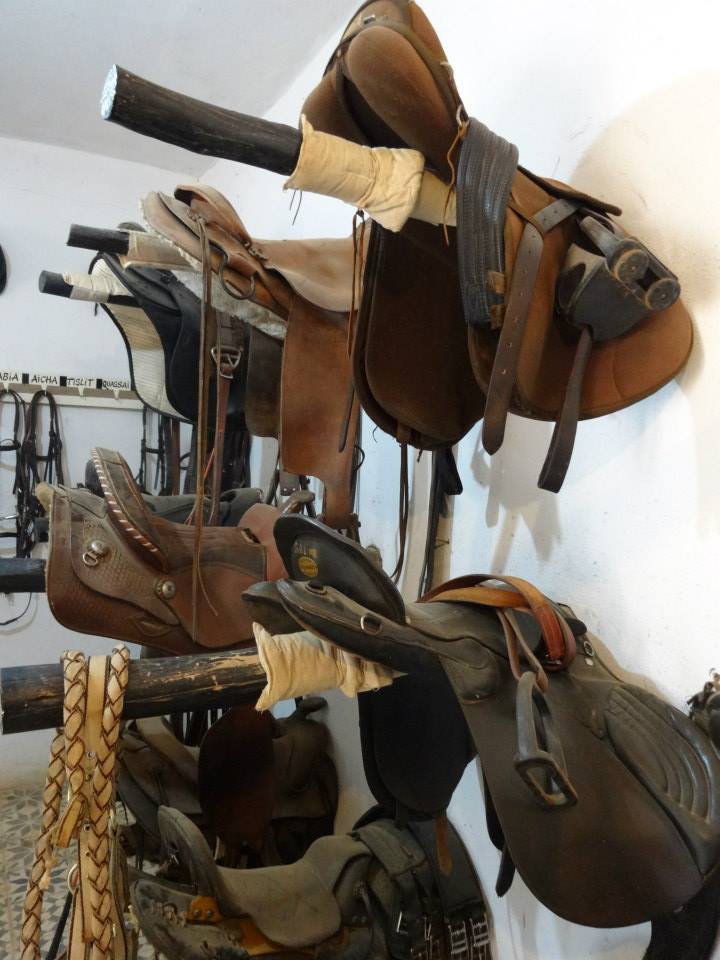 Untouched Morocco - horseXperiences™ GO EQUESTRIAN