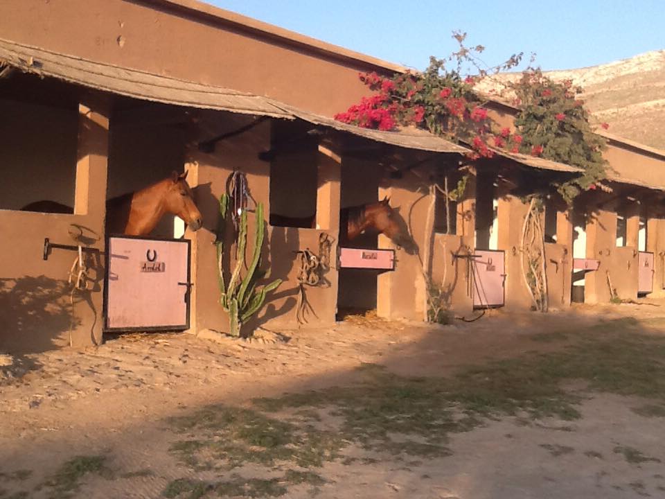 Untouched Morocco - horseXperiences™ GO EQUESTRIAN