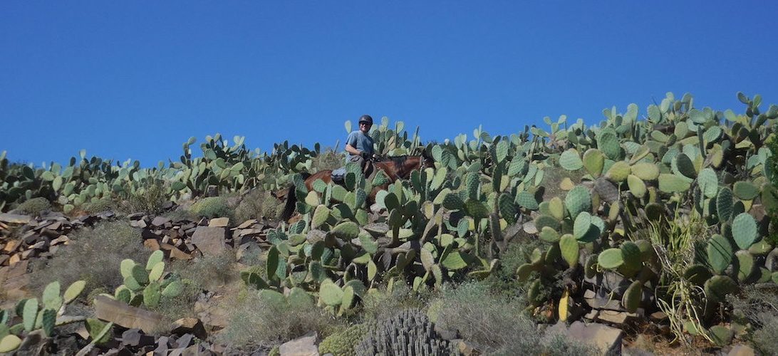 Untouched Morocco - horseXperiences™ GO EQUESTRIAN