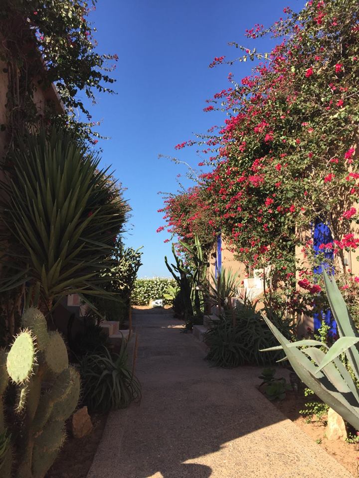 Untouched Morocco - horseXperiences™ GO EQUESTRIAN