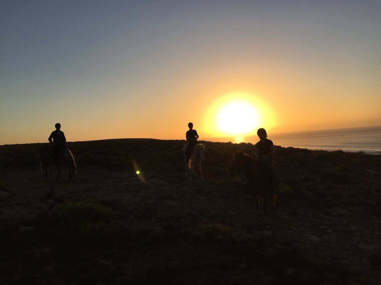 Untouched Morocco - horseXperiences™ GO EQUESTRIAN