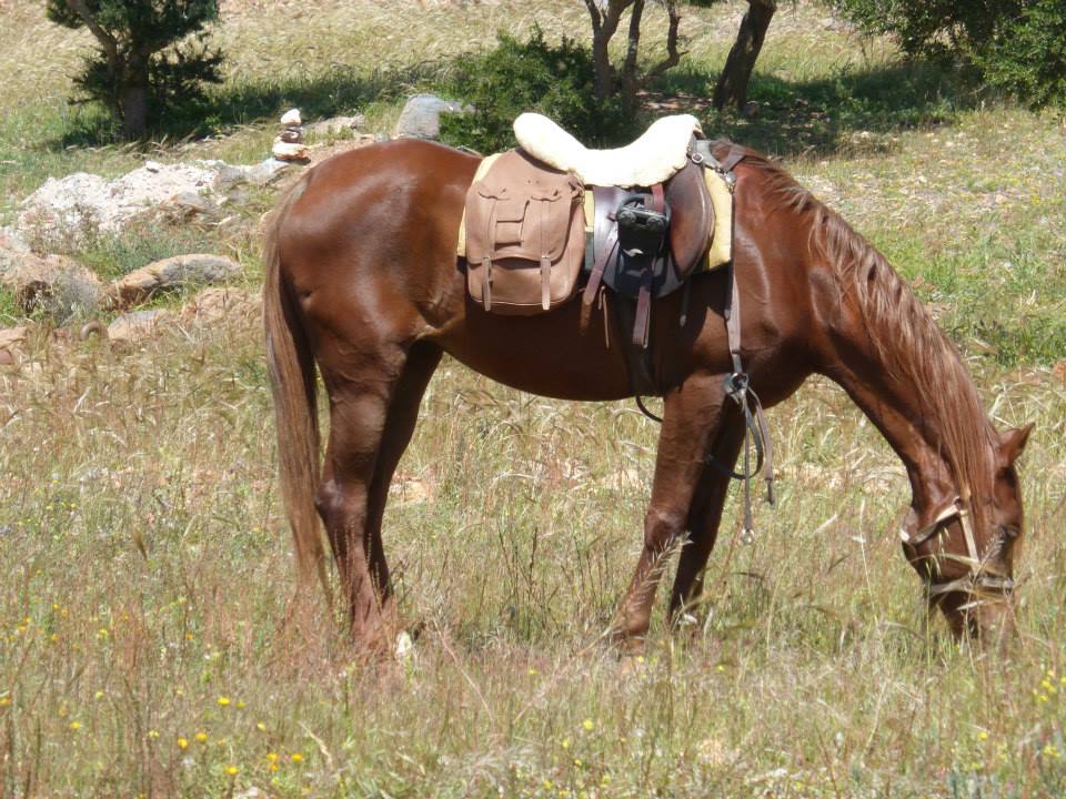 Moroccan In & Out - horseXperiences™ GO EQUESTRIAN