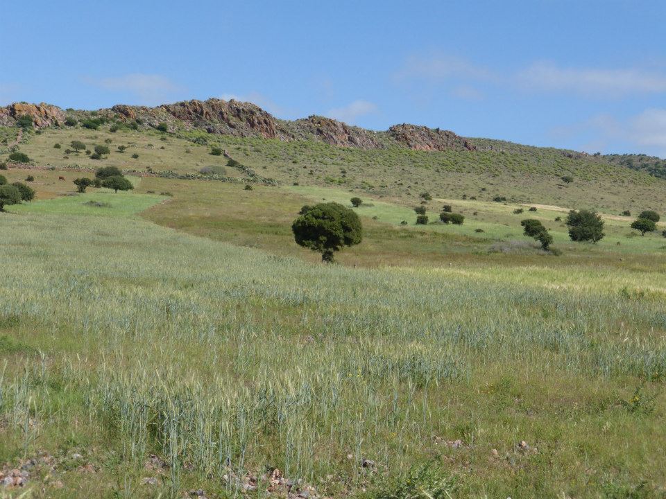 Moroccan In & Out - horseXperiences™ GO EQUESTRIAN