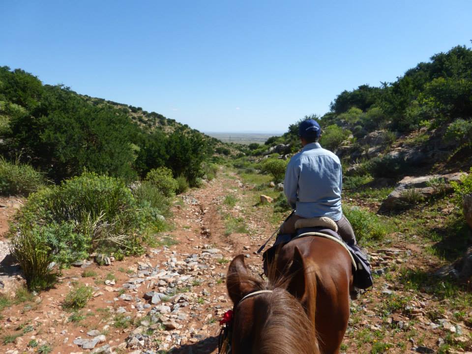 Moroccan In & Out - horseXperiences™ GO EQUESTRIAN