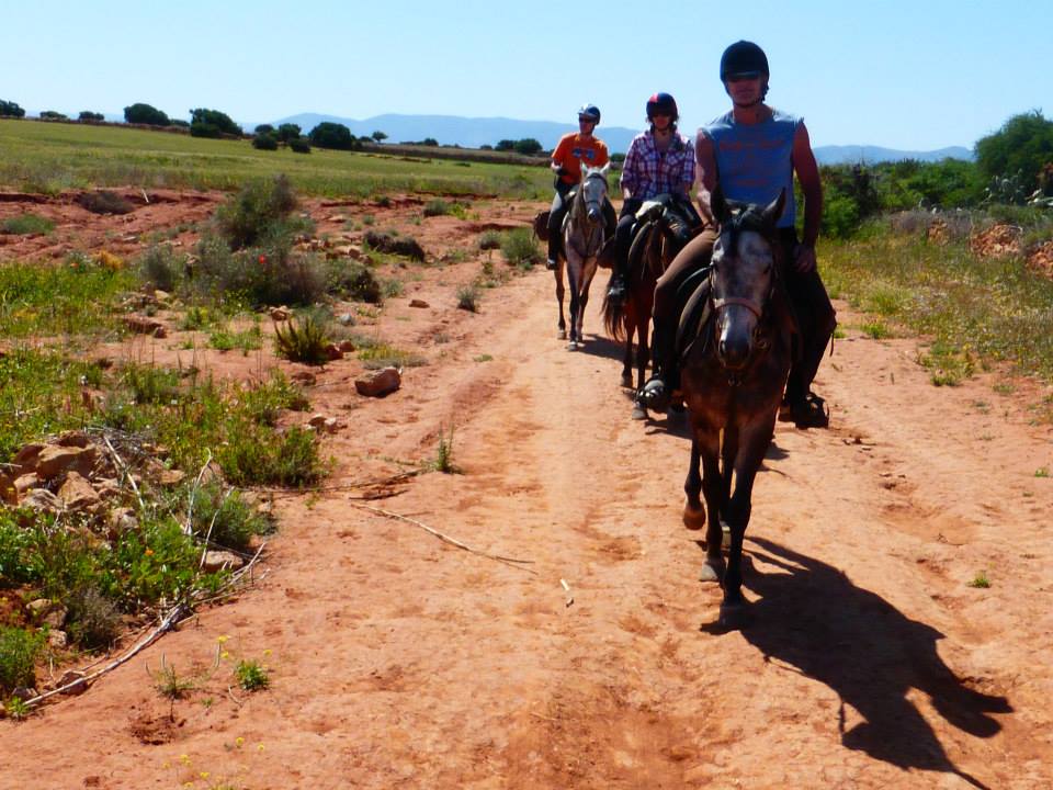 Moroccan In & Out - horseXperiences™ GO EQUESTRIAN