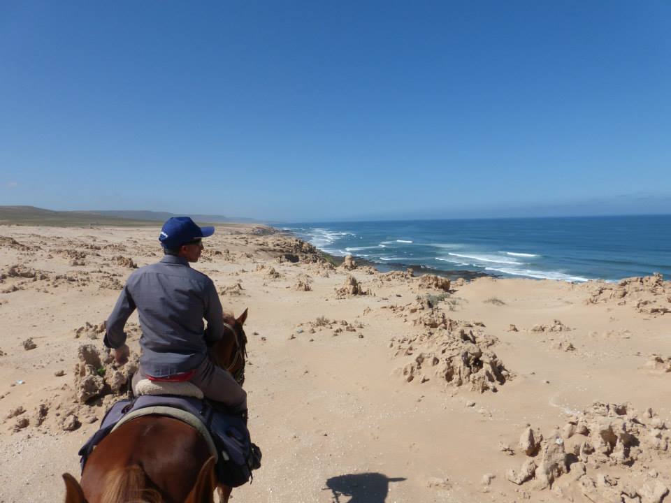 Moroccan In & Out - horseXperiences™ GO EQUESTRIAN