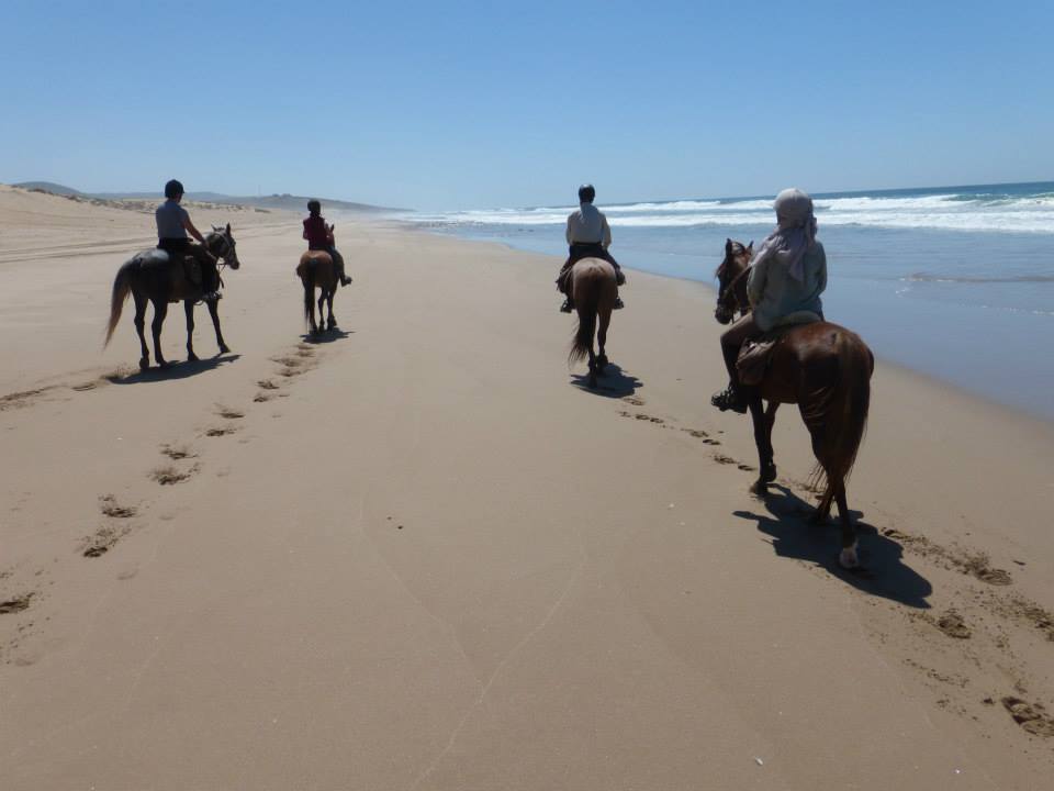 Moroccan In & Out - horseXperiences™ GO EQUESTRIAN