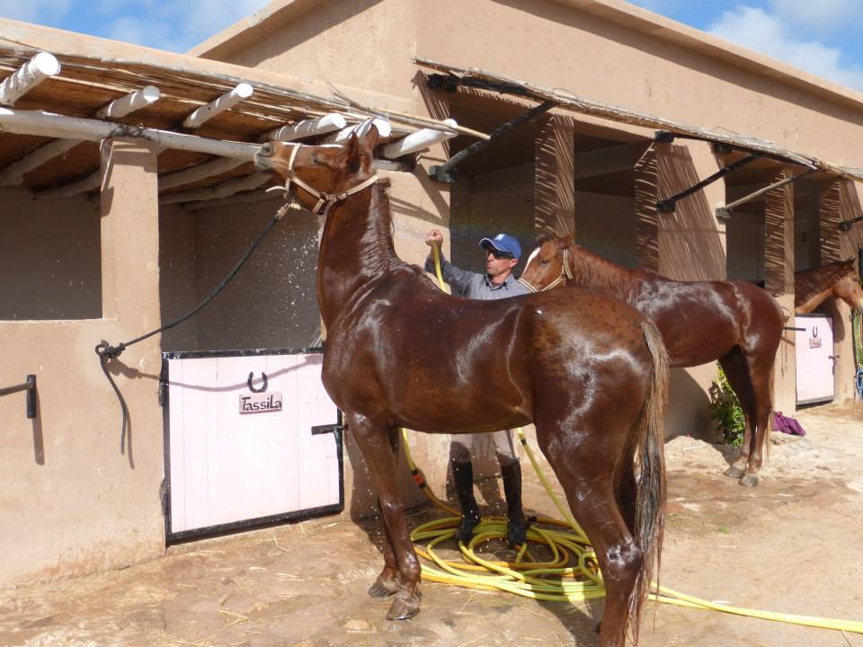 Moroccan In & Out - horseXperiences™ GO EQUESTRIAN
