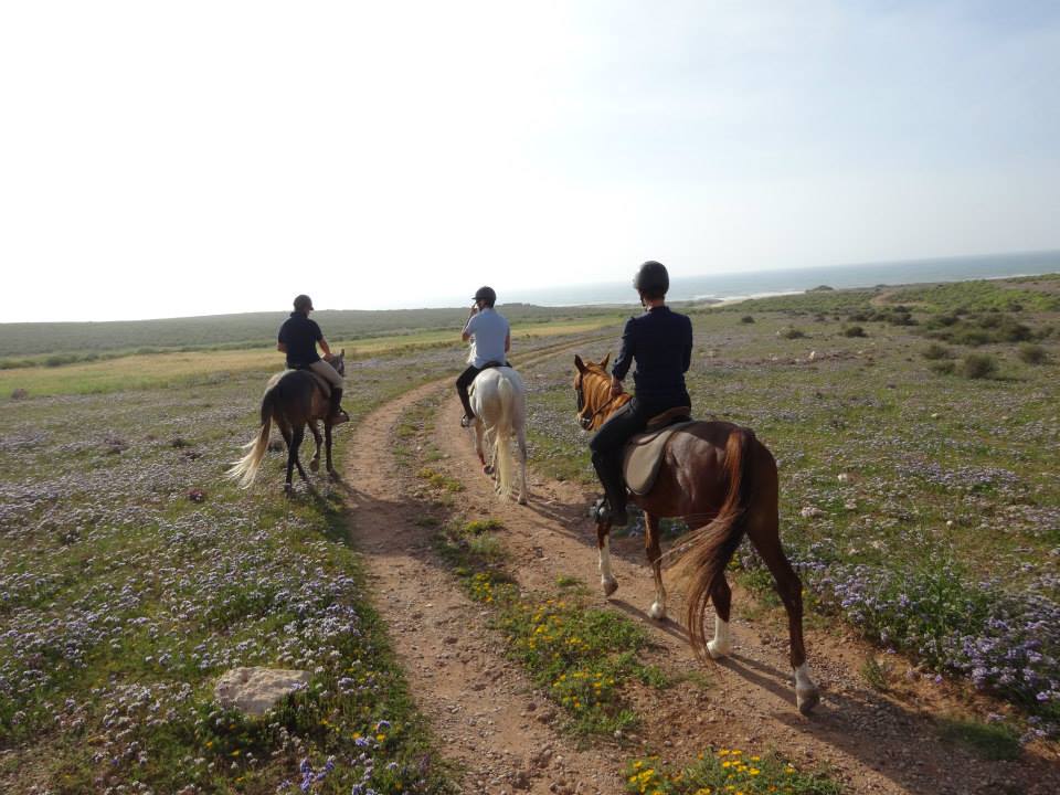 Moroccan In & Out - horseXperiences™ GO EQUESTRIAN