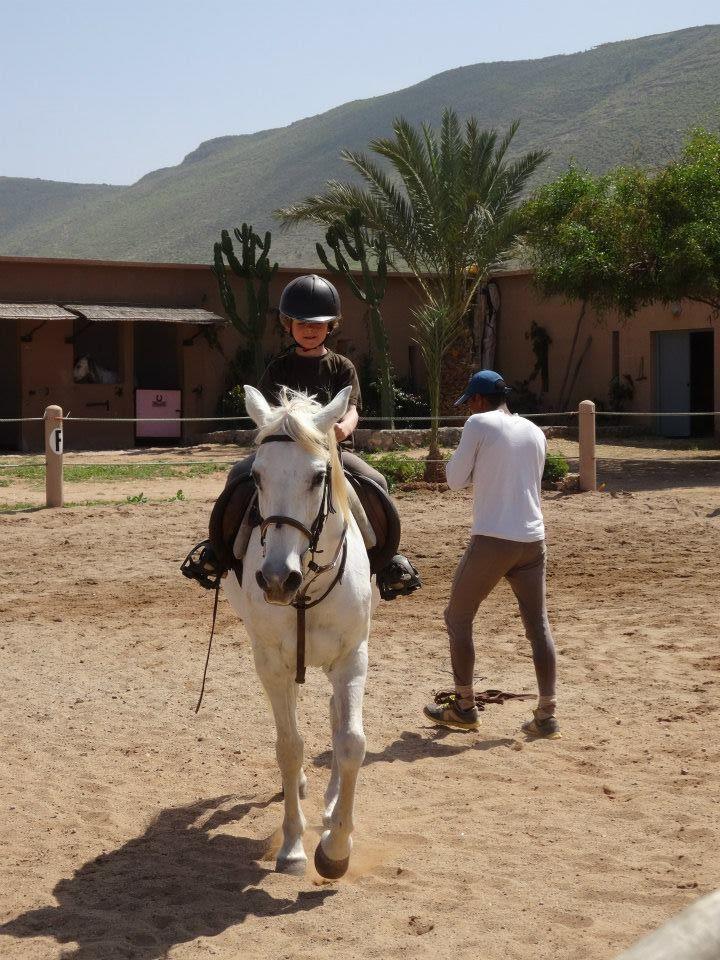Moroccan In & Out - horseXperiences™ GO EQUESTRIAN