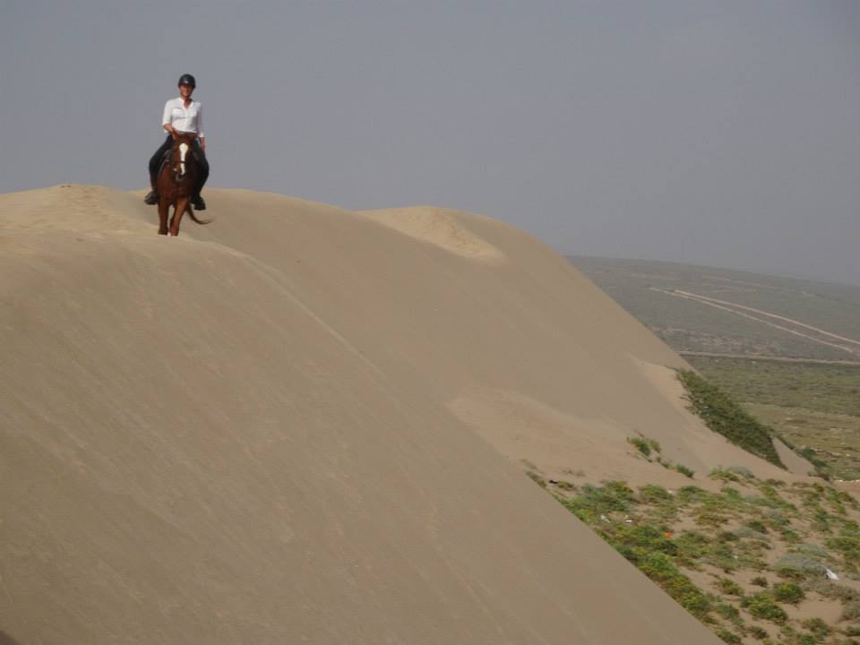 Moroccan In & Out - horseXperiences™ GO EQUESTRIAN