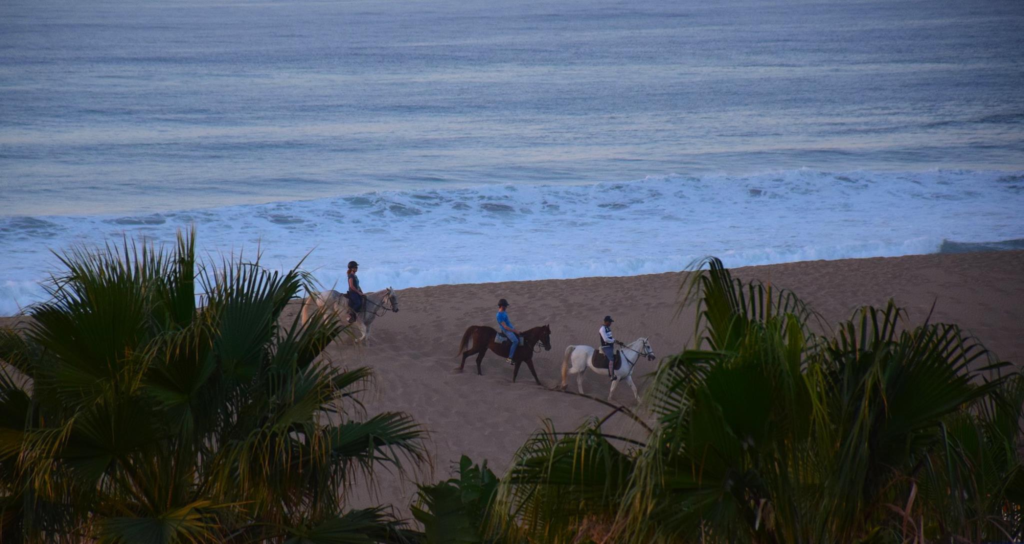 Moroccan In & Out - horseXperiences™ GO EQUESTRIAN