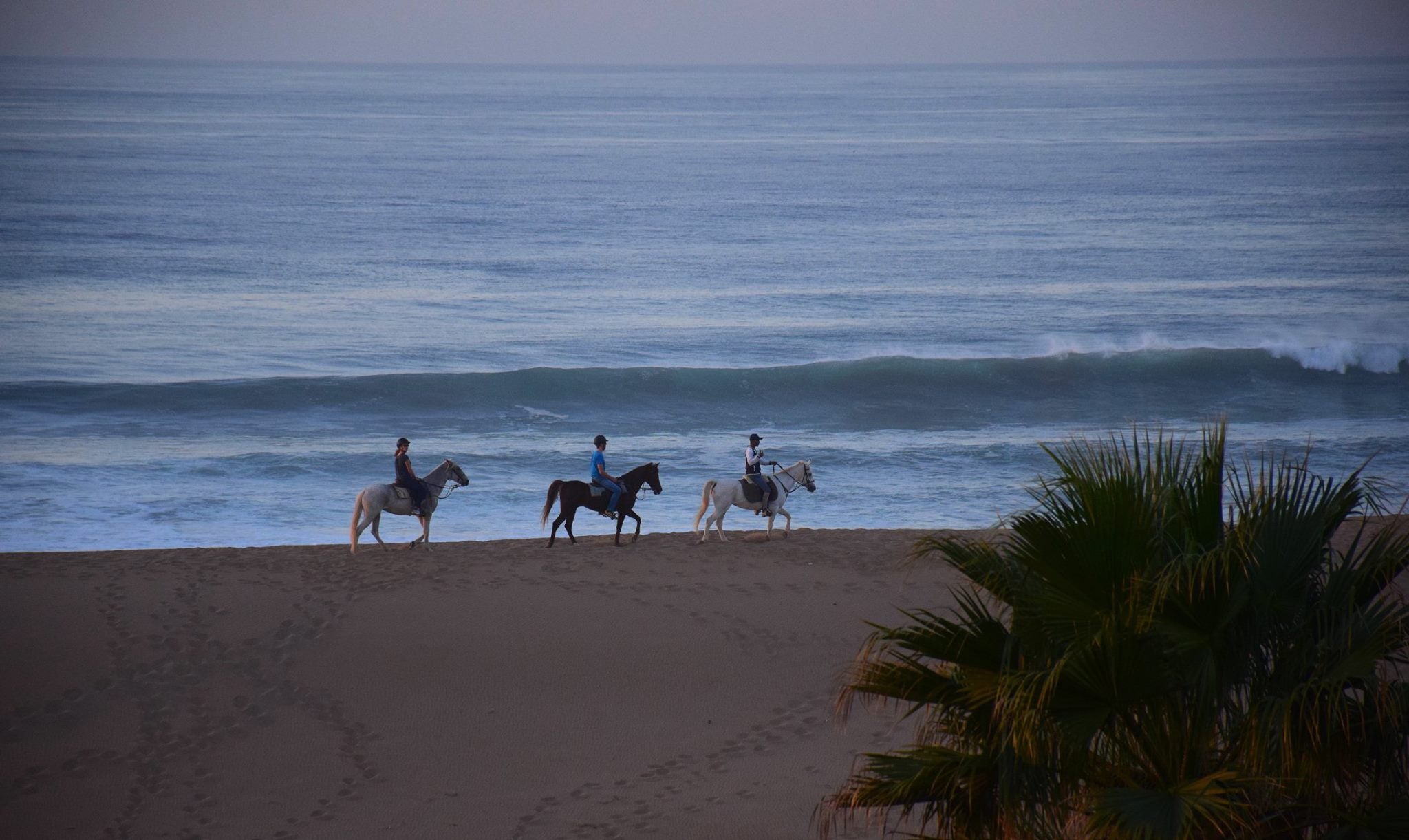 Moroccan In & Out - horseXperiences™ GO EQUESTRIAN