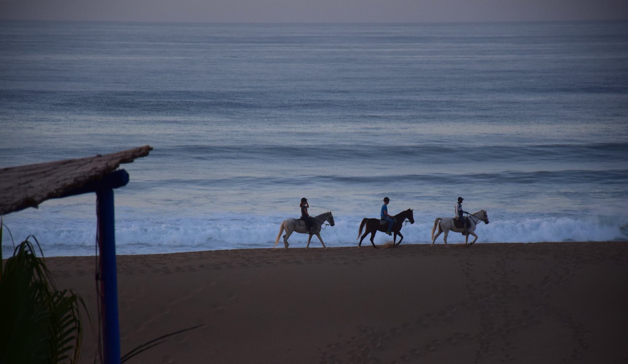 Moroccan In & Out - horseXperiences™ GO EQUESTRIAN