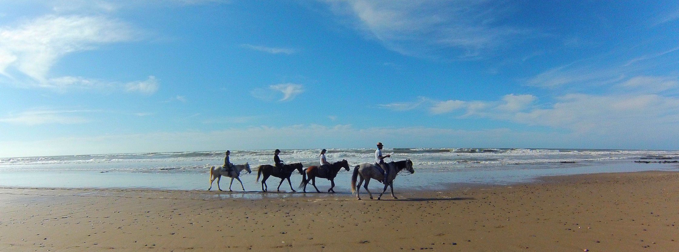 Moroccan In & Out - horseXperiences™ GO EQUESTRIAN