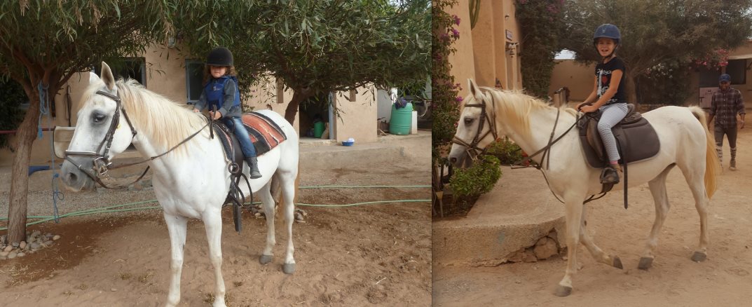 Moroccan In & Out - horseXperiences™ GO EQUESTRIAN