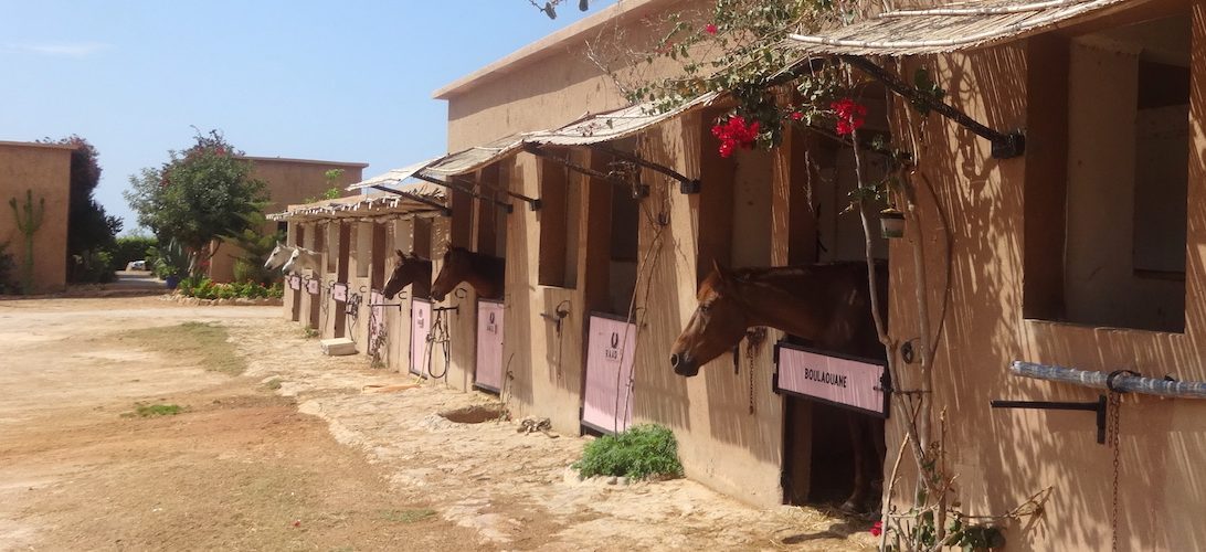 Moroccan In & Out - horseXperiences™ GO EQUESTRIAN