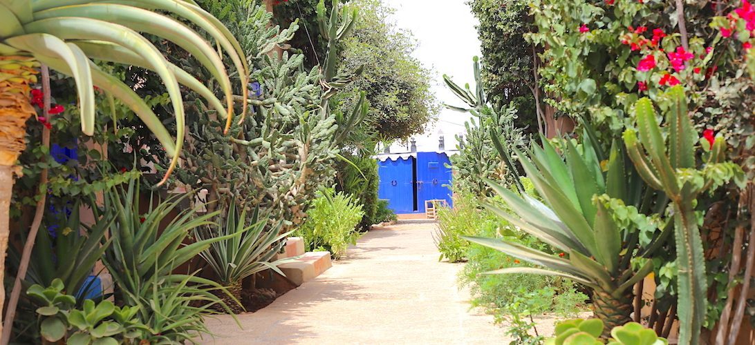 Moroccan In & Out - horseXperiences™ GO EQUESTRIAN