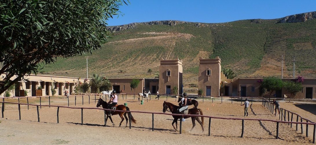 Moroccan In & Out - horseXperiences™ GO EQUESTRIAN